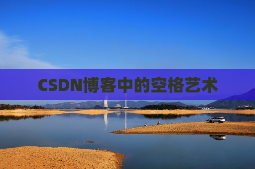 CSDN博客中的空格艺术